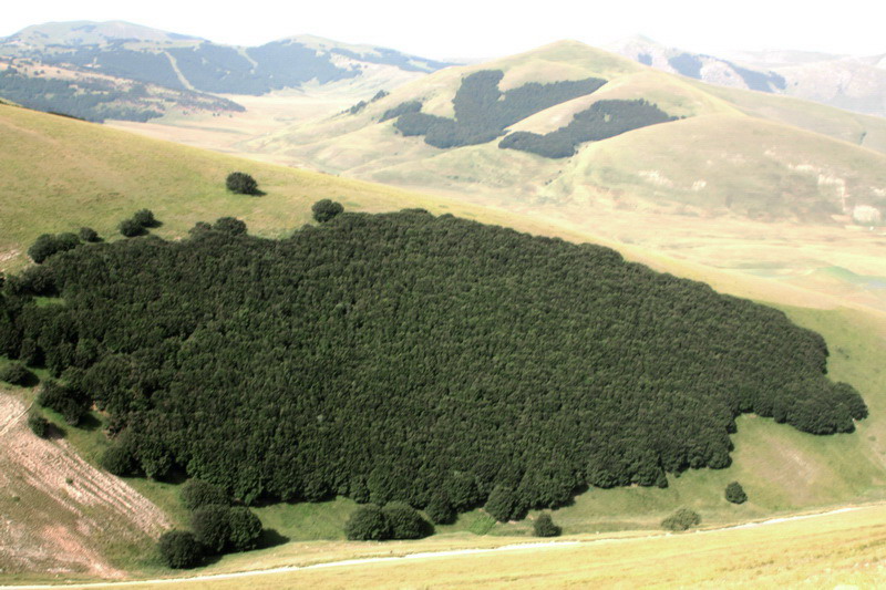 in alta quota nei miei Sibillini